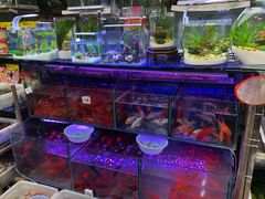 -曲阳花鸟市场(曲阳路店)