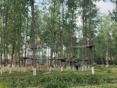 -佛手湖郊野公园