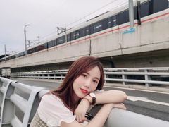 -海堤纪念公园