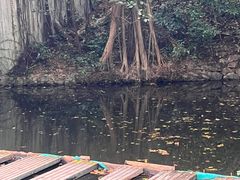 -燕晗山郊野公园