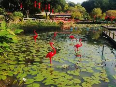 -南沙天后宫景区
