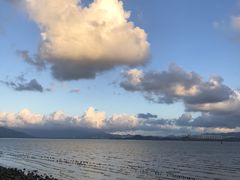 -深圳湾公园(南山区)