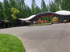 -东平国家森林公园