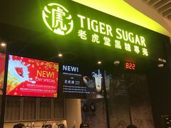 -圣淘沙天际线斜坡滑车
