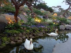 -罗红摄影艺术馆