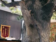 -富侨养生(光大会展店)