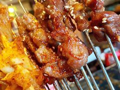 -鼎原力量东北吊炉烧烤(临河街店)