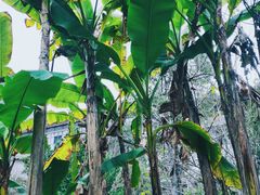 -剑河仰阿莎温泉小镇