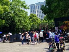 -人民公园-相亲角
