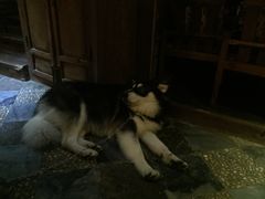 -丽江花间堂·隐泉院