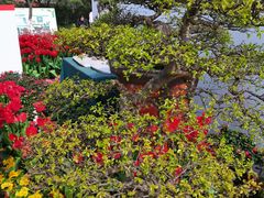 -南山植物园