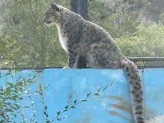 -青藏高原野生动物园