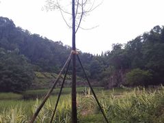 -深圳国际园林花卉博览园