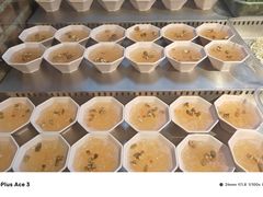 -成老灶火锅鸡(平山店)