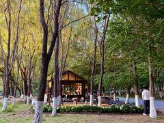 -长白岛森林公园