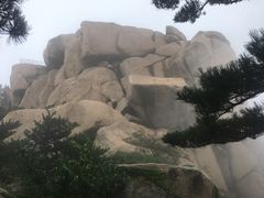 -崂山仰口游览区