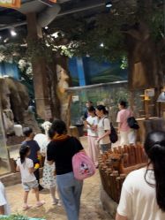 -宝燕乐园(闵行旗舰店)