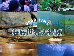 -洛阳龙门海洋馆