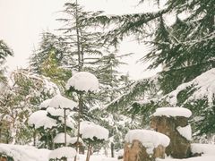 -河南省黄河迎宾馆