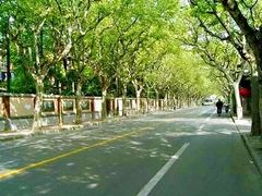 -溧阳路经典老洋房