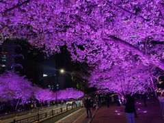 -西北湖绿化广场