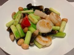 高山芦笋炒澳带-东富酒家(龙湖西溪天街店)