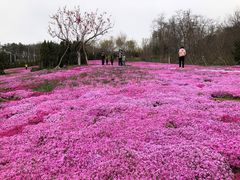 -棒棰岛宾馆景区
