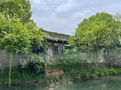 -西溪国家湿地公园