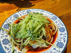 -柴窝堡22号传承新疆菜·新疆辣子鸡