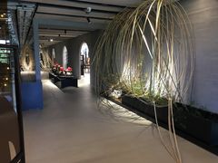 -璞素(浦东店)