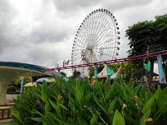 游乐设施-凤岭儿童公园