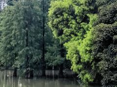 -海珠湖公园