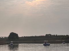 -空港花田景区