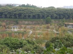 -东莞植物园