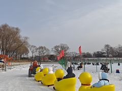 -北陵公园
