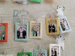 -仁华宠物医院(青羊店)