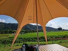 -风云岭森林公园