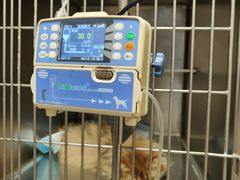 -瑞鹏宠物医院·超声·骨科·奇麟分院(蜀都万达店)