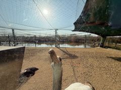 -盐城丹顶鹤湿地生态旅游区