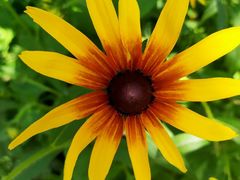 -周口店北京人遗址公园