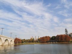 -尚贤河湿地