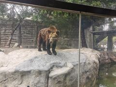 -灵玲国际马戏城
