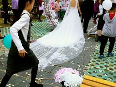 -武汉紫薇都市田园