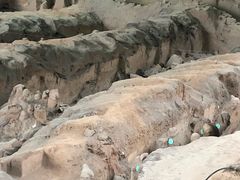 -秦始皇帝陵博物院-丽山园
