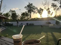 -爪吧宠物乐园 (温榆河示范区店)