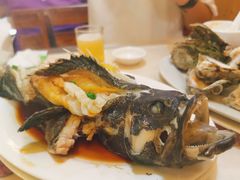 清蒸石斑鱼-花乐餐厅(涠洲岛店)
