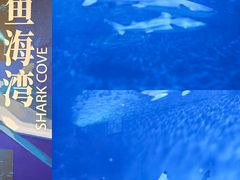 -上海海洋水族馆