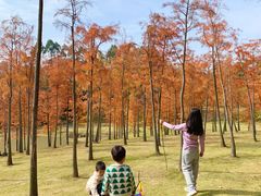 -聚龙山公园