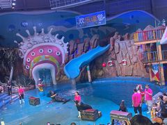 -烟台海昌鲸鲨海洋公园