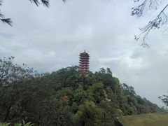 -缙云山景区